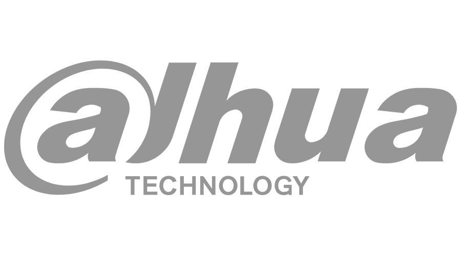 dahua